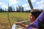 resIMG_20170713_122646_8579.JPG